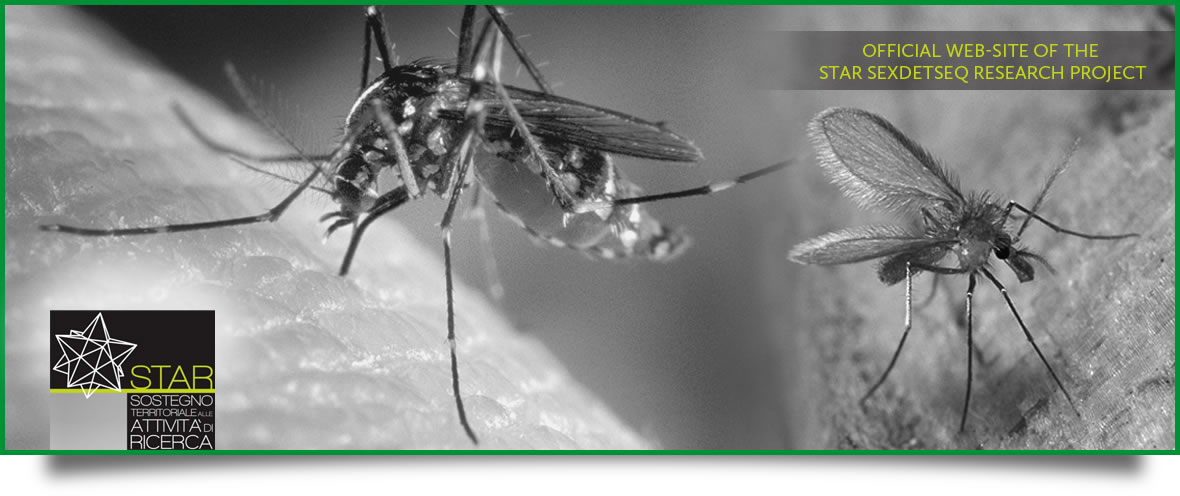 Copertina del progetto di ricerca STAR SEXDETSEQ