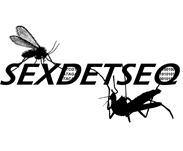 STAR PROJECT — SEXDETSEQ