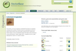 VectorBase: Lutzomyia longipalpis