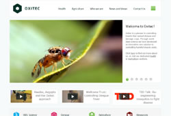 Oxitec